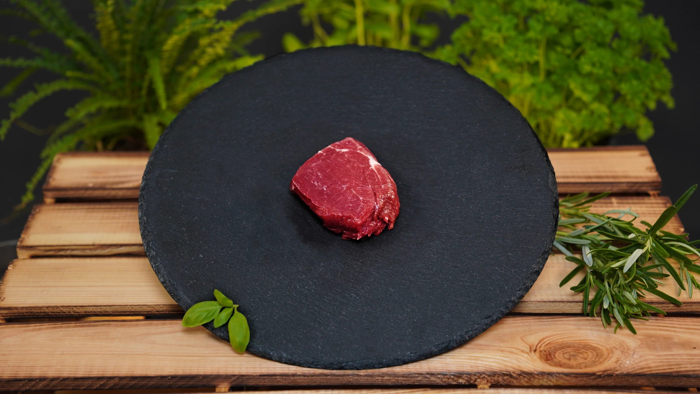 Bison - Filet Steak
