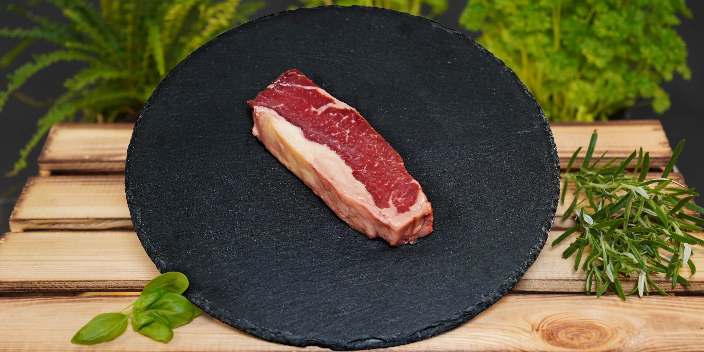 Bison - Roastbeef