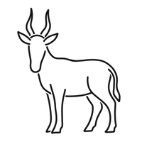 Zartes - Blessbock - Gulasch