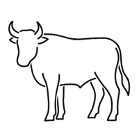 Chianina Rind - Burger