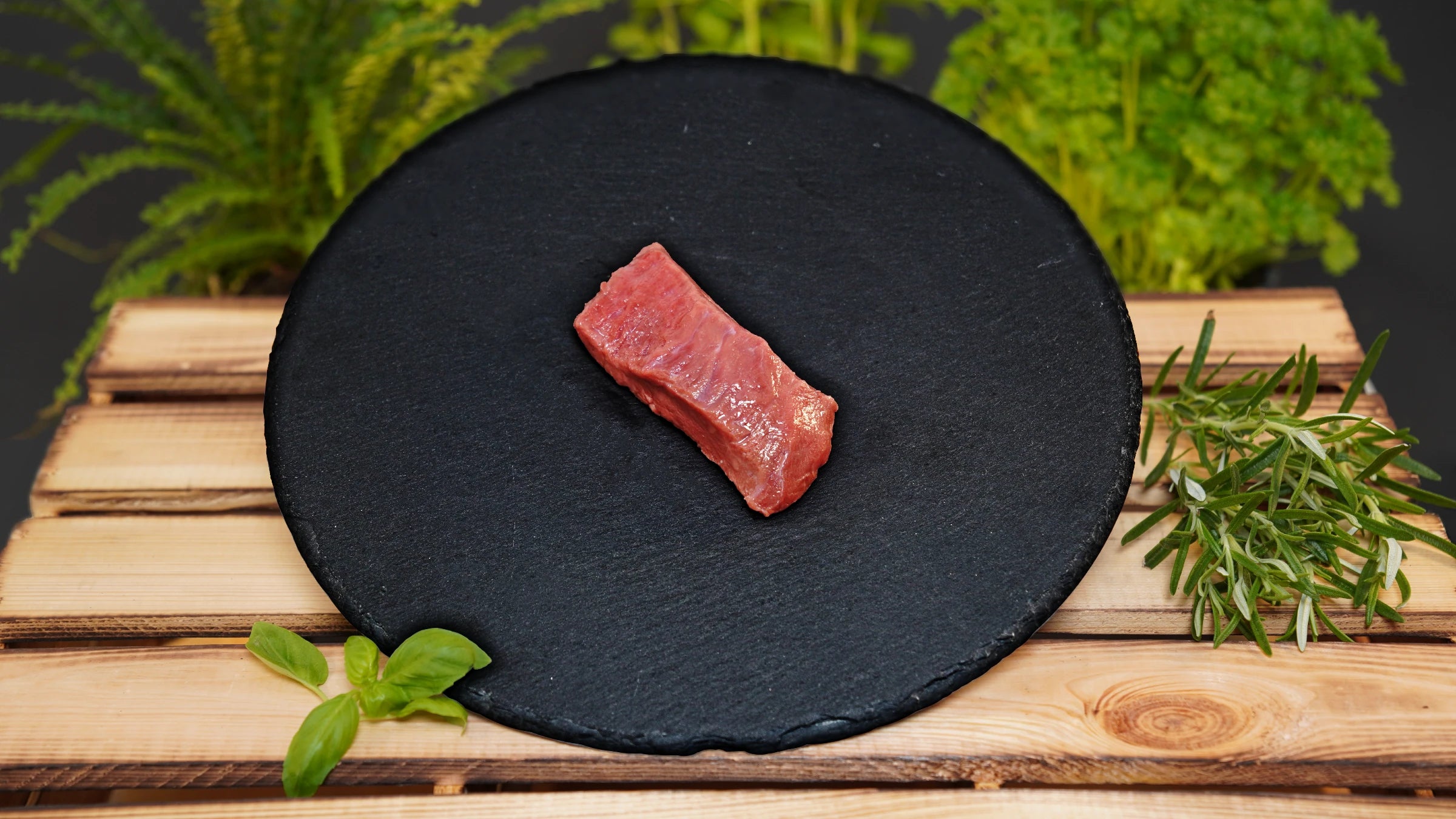 Elch - Hüftsteak