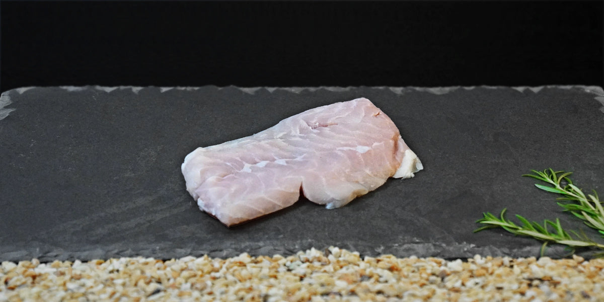Zartes - Krokodil - Tail - Filet