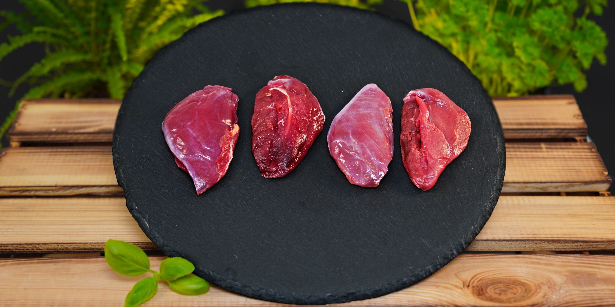 Zartes - Wildtaube - Brustfilet