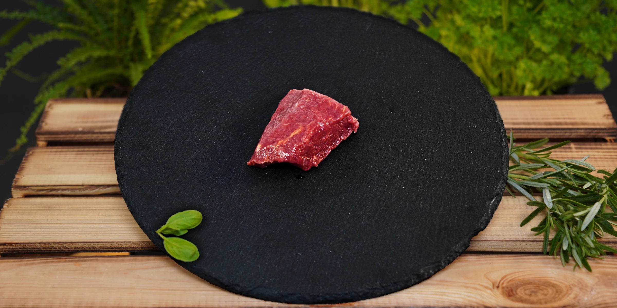 Zebra - Filet Steak