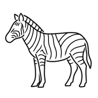 Zebra - Burger
